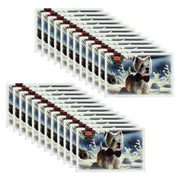 Highland Speciality Christmas Scottish Shortbread Assortment Westie Bow Tie In Snow (24 x 200g)