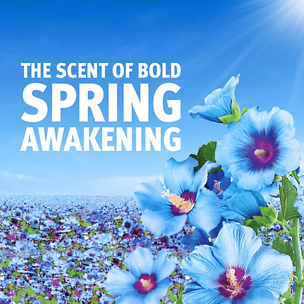 Bold Spring Awakening Laundry Detergent 44 Washes, (2.2kg)