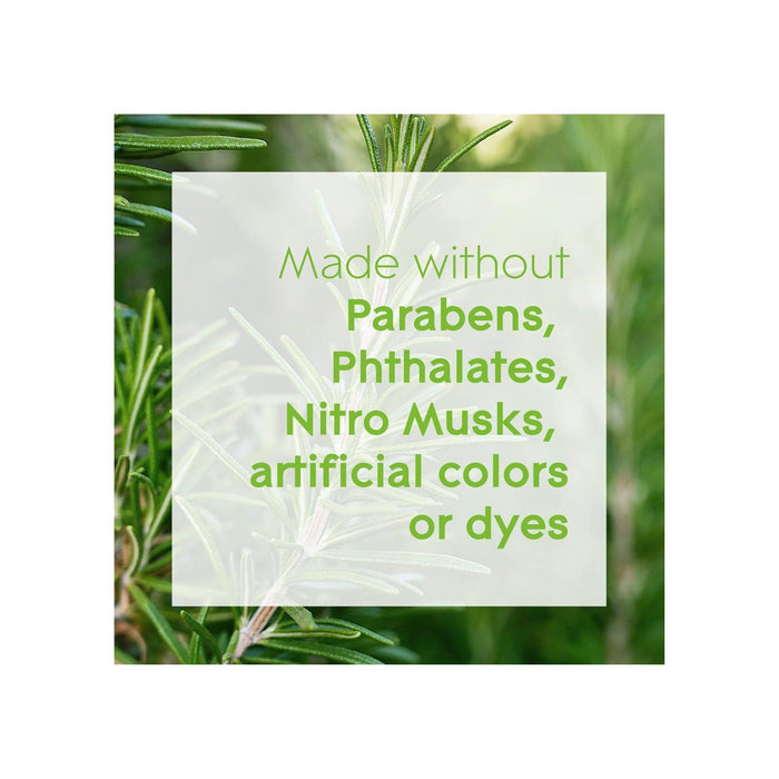 Glade Aromatherapy Reed Diffusers, Essential Oils Diffuser with Refreshing Fragrance, Refreshing Energy with Rosemary & Juniper, 80ml