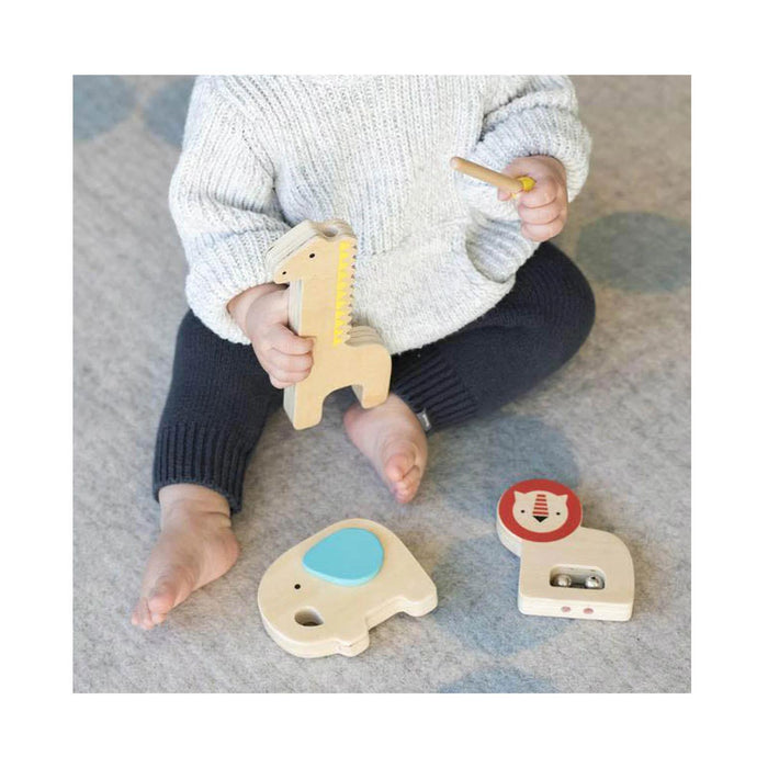 Musical Menagerie Wooden Instruments