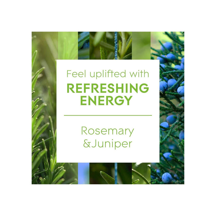 Glade Aromatherapy Reed Diffusers, Essential Oils Diffuser with Refreshing Fragrance, Refreshing Energy with Rosemary & Juniper, 80ml