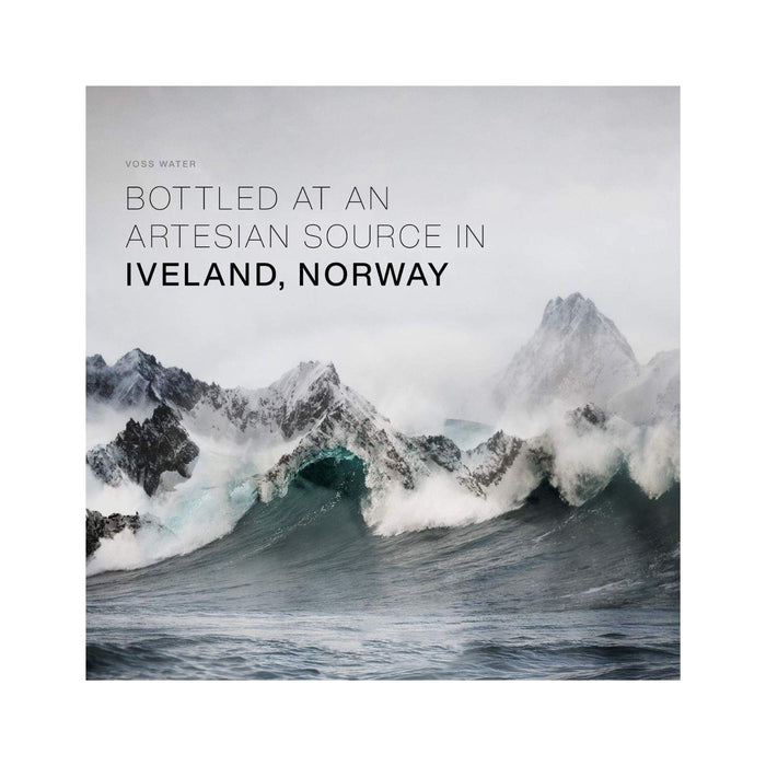 24x Voss Water, VOSS UK Plus, Artesian Still Water with Aquamin, Minerals and Electrolytes, Bulk pack of 500ml