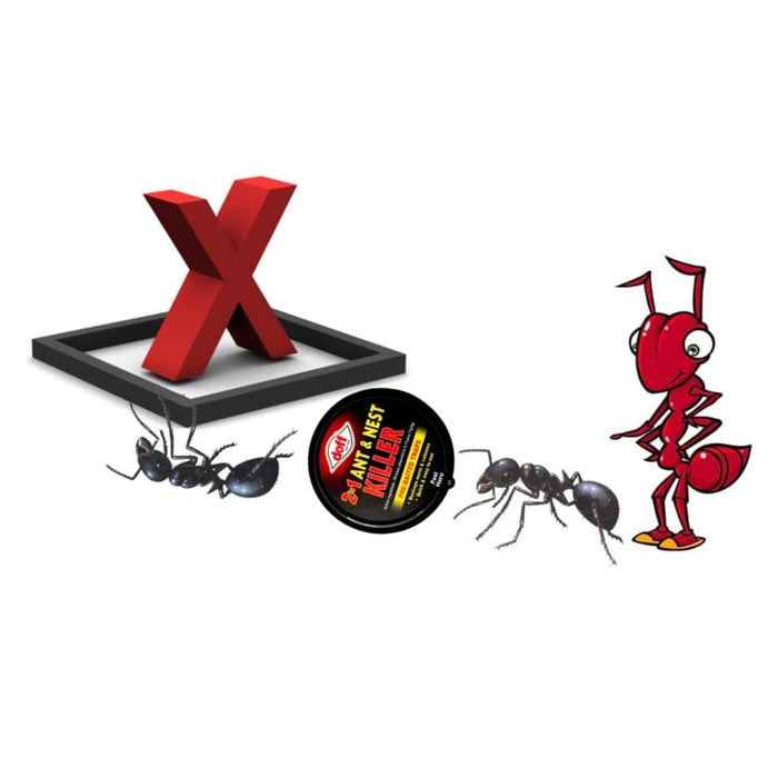 Ant killer | Indoor & Outdoor use ant killer bait station | Doff ant bait station  3 Pack
