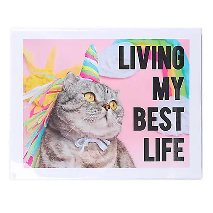 Paperchase 8 x 10 Ruled Notebook - Living My Best Life Cat