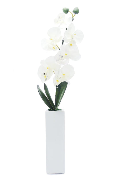 Artificial Orchid in Thin White Vase - White - myShop.co.uk